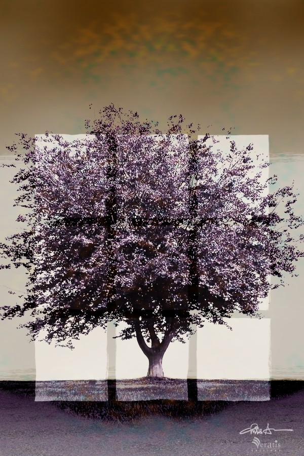 Window2 on a Purple Tree 2x3 by Veratis Editions